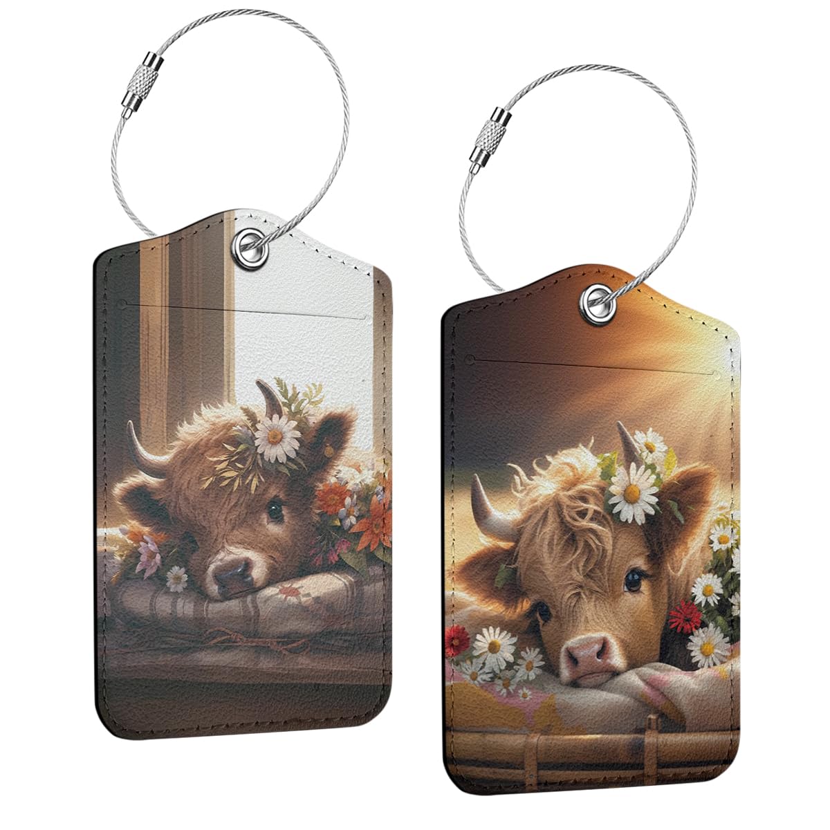 2 Pcs Funny Luggage Tag, Suitcase Tags with Privacy Flap and Metal Loop